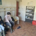 Média (26)